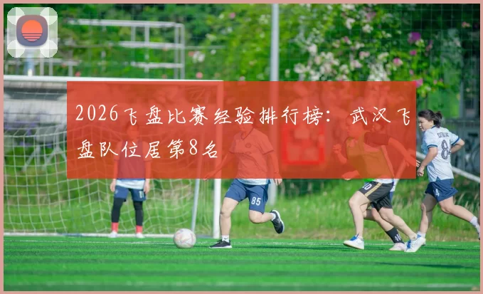 2026飞盘比赛经验排行榜：武汉飞盘队位居第8名