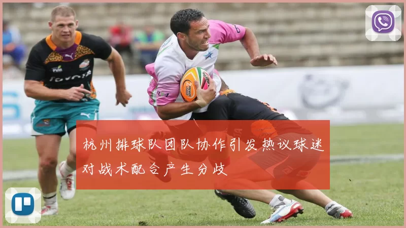 杭州排球队团队协作引发热议球迷对战术配合产生分歧