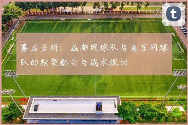 赛后分析：成都网球队与南京网球队的默契配合与战术探讨