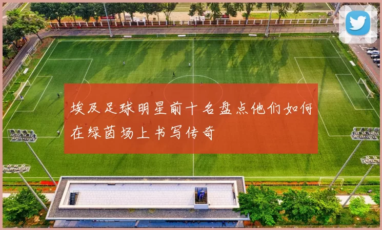 埃及足球明星前十名盘点他们如何在绿茵场上书写传奇