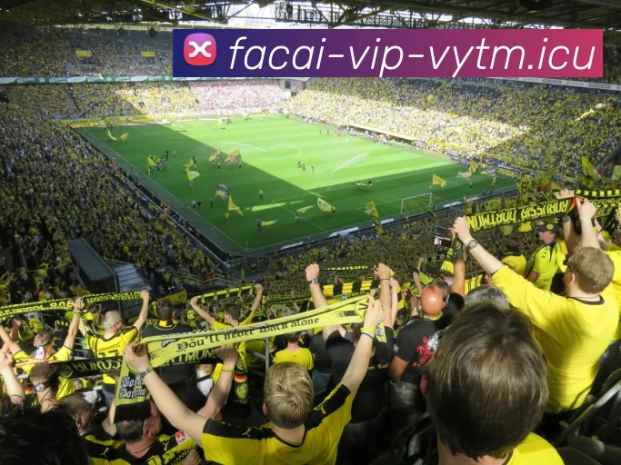 乐鱼体育APP 高清赛事图